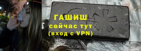 шишки Осташков