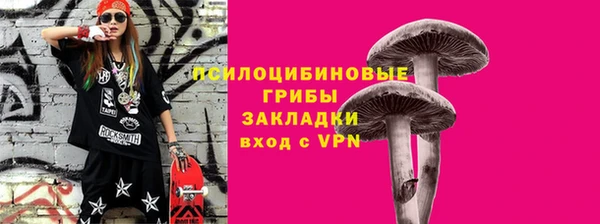 шишки Осташков