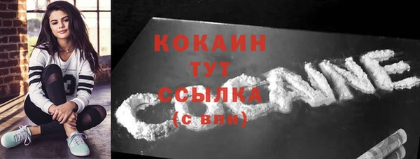 шишки Остров