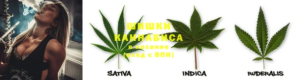 шишки Осташков