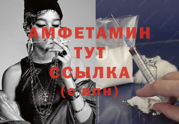 шишки Осташков