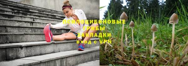 шишки Остров