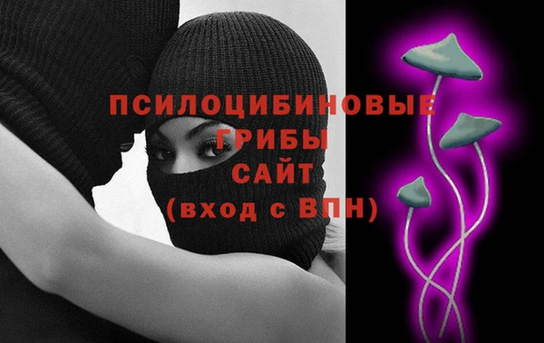 шишки Осташков
