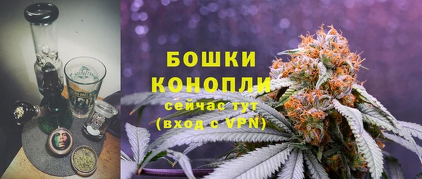 шишки Осташков