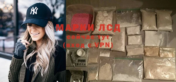 шишки Осташков